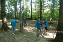 DSCN2466